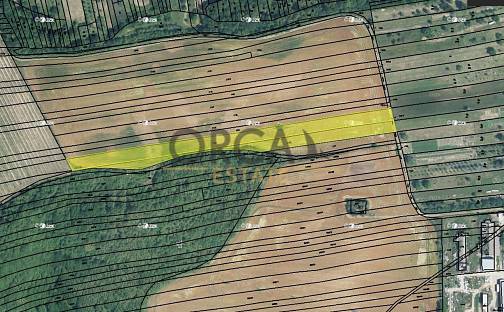 Prodej pole 5 796 m², Syrovín, okres Hodonín