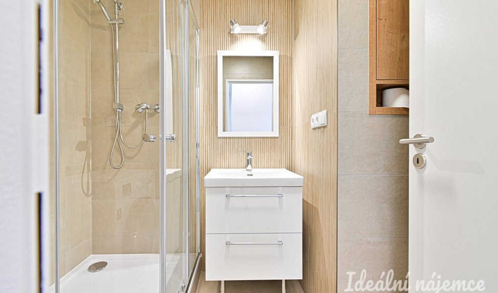 Pronájem bytu 1+1 38 m², Praha – náhled fotky 3