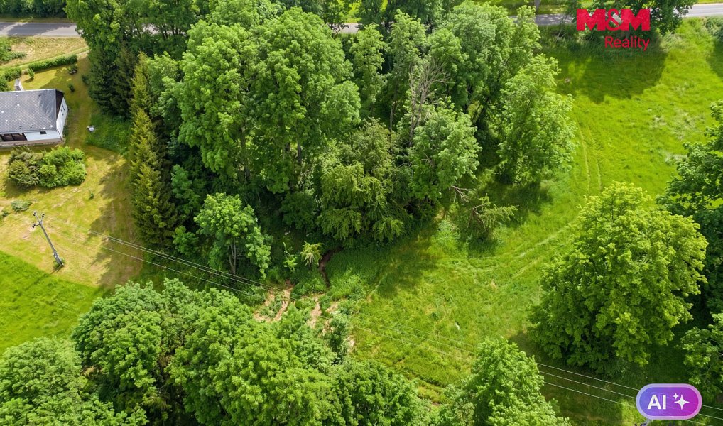 Prodej louky 321 m², Výprachtice – náhled fotky 3