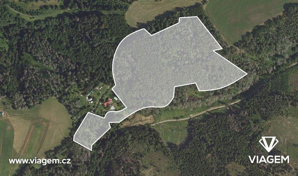 Prodej lesa 1 470 m², Letovice – náhled fotky 2