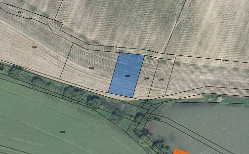 Prodej pole 198 m², Ctidružice, okres Znojmo