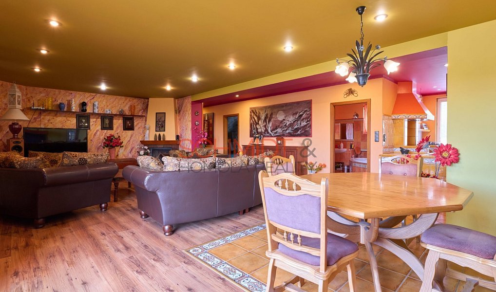 Prodej domu 437 m² s pozemkem 1 807 m², Hustopeče – náhled fotky 6