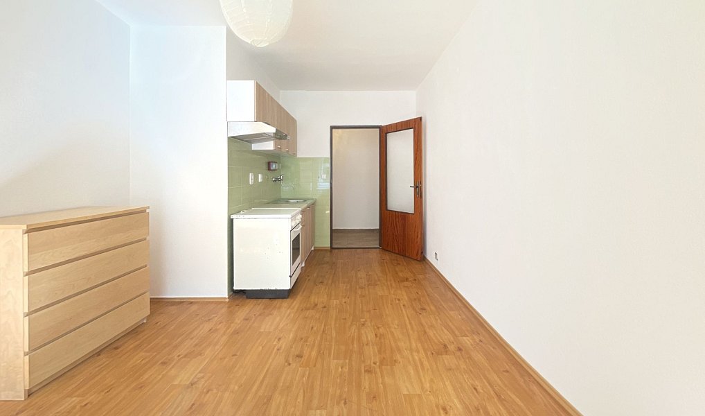 Pronájem bytu 1+kk 24 m², Tábor – náhled fotky 4