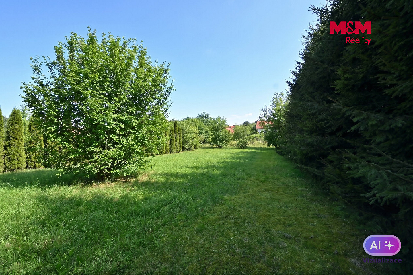Prodej louky 990 m² — photo 4