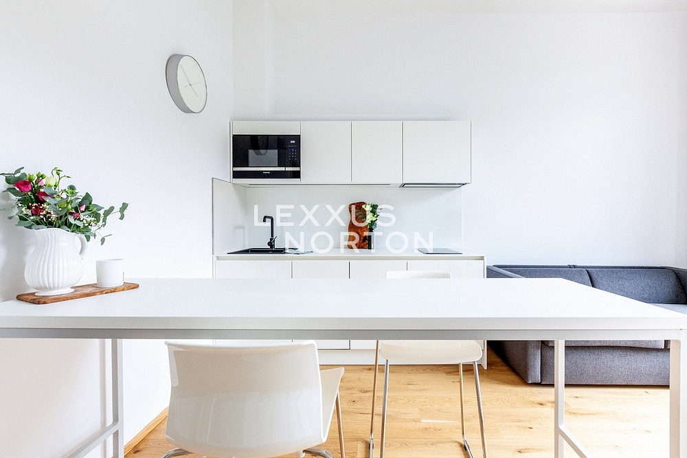 Pronájem bytu 1+kk 29 m² – pohled 5