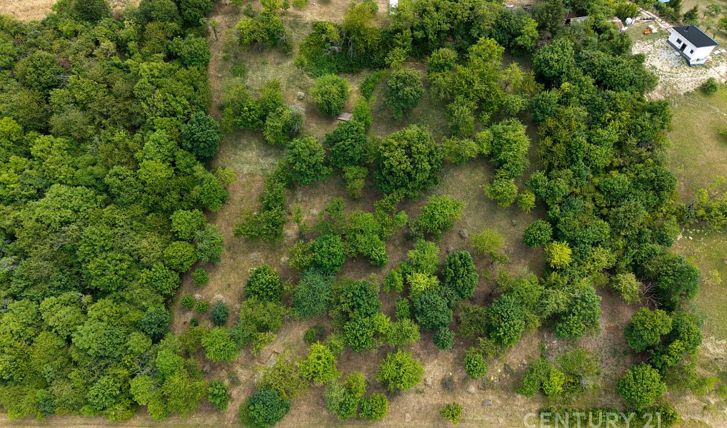 Prodej stavebního pozemku 7 076 m², Koryčany – náhled fotky 7