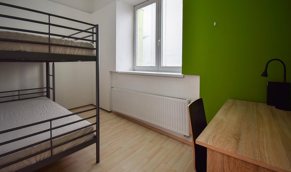 Pronájem bytu 2+1 45 m², Brno – náhled fotky 13