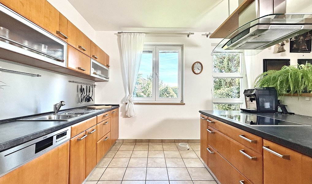 Prodej domu 263 m² s pozemkem 1 012 m², Brno – náhled fotky 4