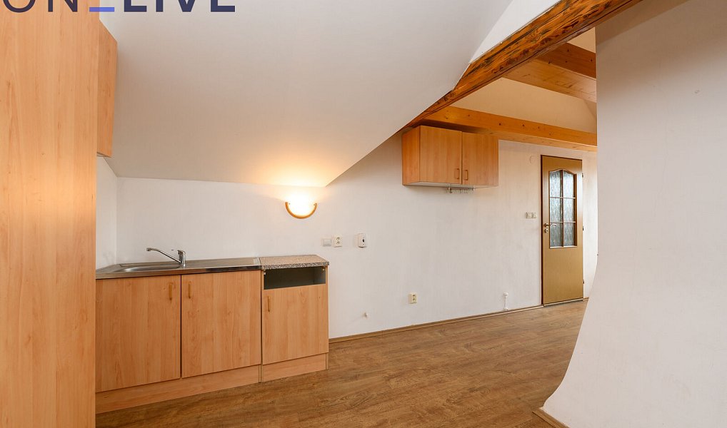 Prodej domu 234 m² s pozemkem 1 080 m², Tužice – náhled fotky 24