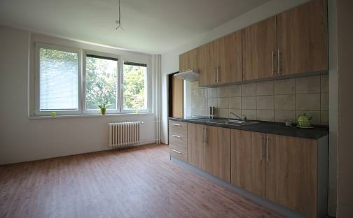 Pronájem bytu 1+1 45 m², Plzeňská, Ostrava - Zábřeh