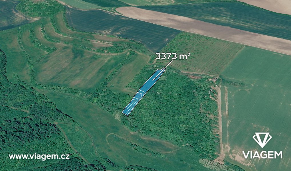 Prodej pole 3 373 m², Čejkovice – fotka 1 z 5