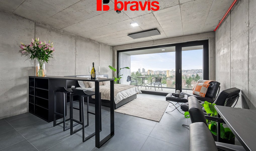 Pronájem bytu 1+kk 48 m², Brno – náhled fotky 3