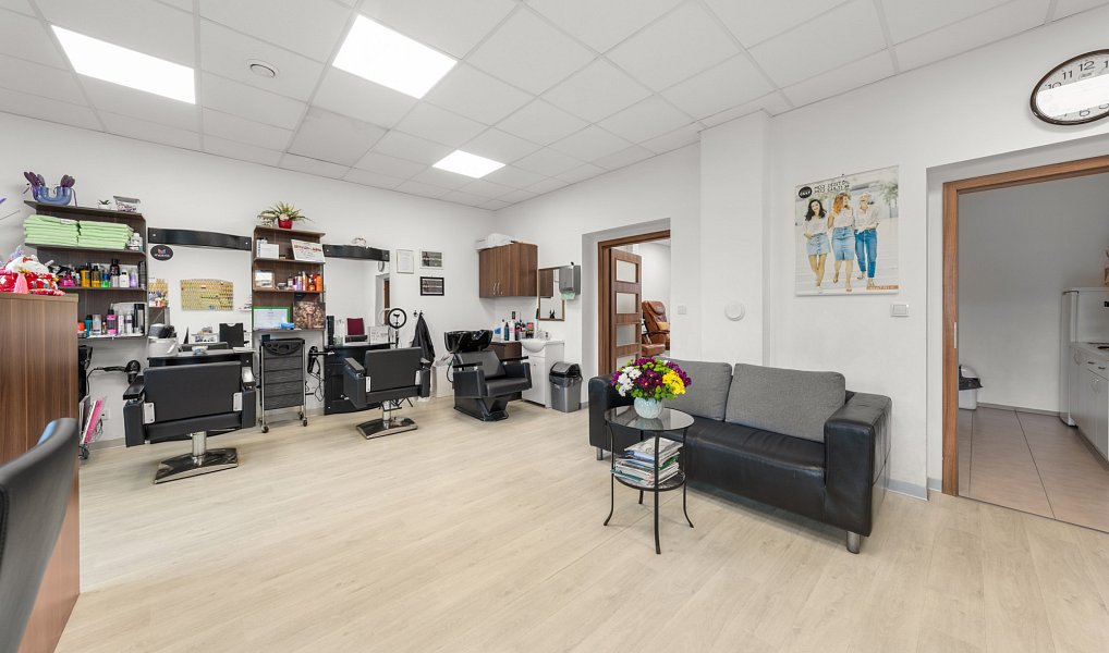 Prodej domu 340 m² s pozemkem 450 m², Jesenice – náhled fotky 20
