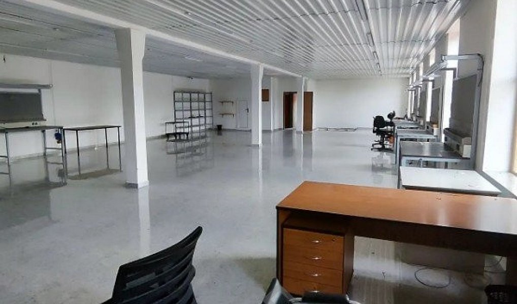 Prodej obchodních prostor 1 800 m², Přelouč – náhled fotky 4