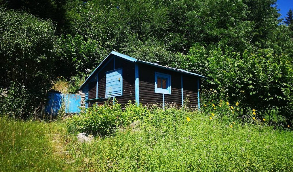 Prodej zahrady 3 146 m², Česká Třebová – náhled fotky 7