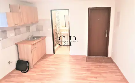 Pronájem bytu 1+kk 40 m², Dražeň, okres Plzeň-sever