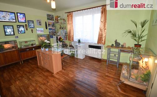 Prodej bytu 2+1 57 m², Wolkerova, Lovosice, okres Litoměřice
