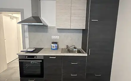 Pronájem bytu 1+kk 30 m², Soudní, Brno - Zábrdovice