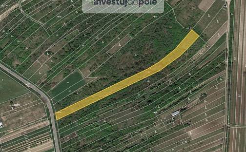 Prodej louky 3 570 m², Němčičky, okres Břeclav