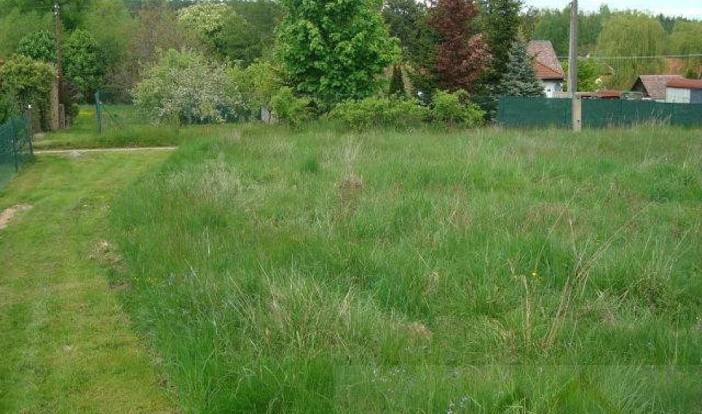 Prodej stavebního pozemku 2 352 m², Čistá – náhled fotky 6