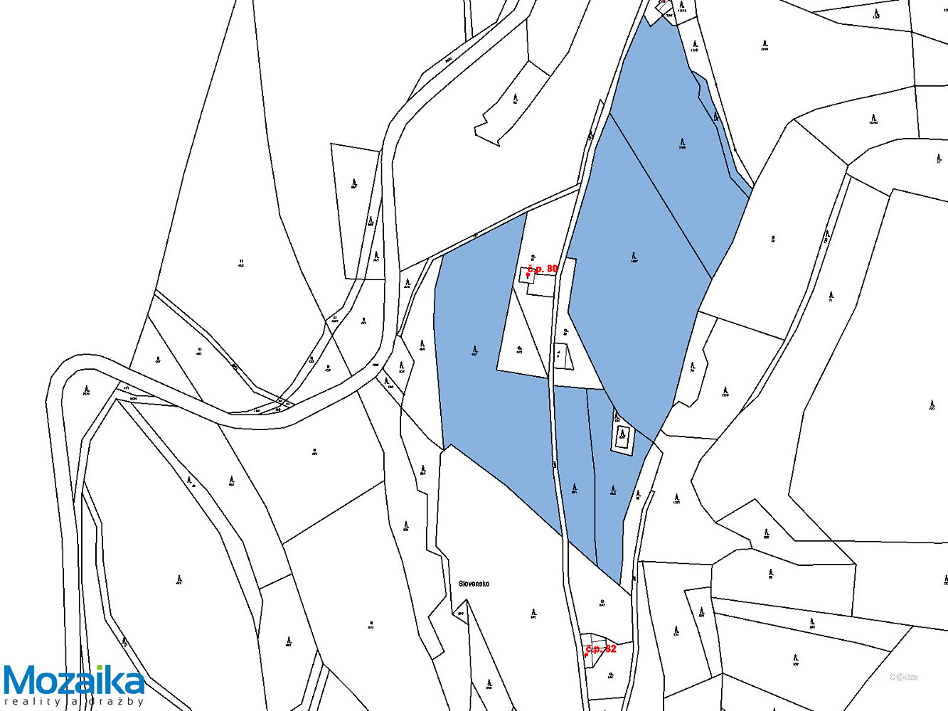 Prodej lesa 40 093 m² – fotografie 4
