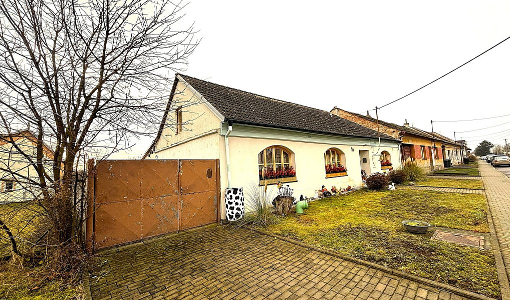 Prodej rodinného domu 250 m2, Hevlín — foto 2
