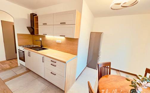 Pronájem bytu 2+1 48 m², J. Palacha, Břeclav