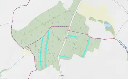 Prodej lesa 24 818 m², Vesce - Mokrá, okres Tábor