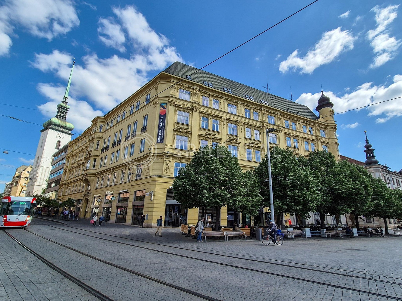 Pronájem kanceláře 200 m²