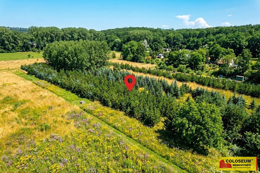 Prodej pole 2 970 m² – fotografie 2