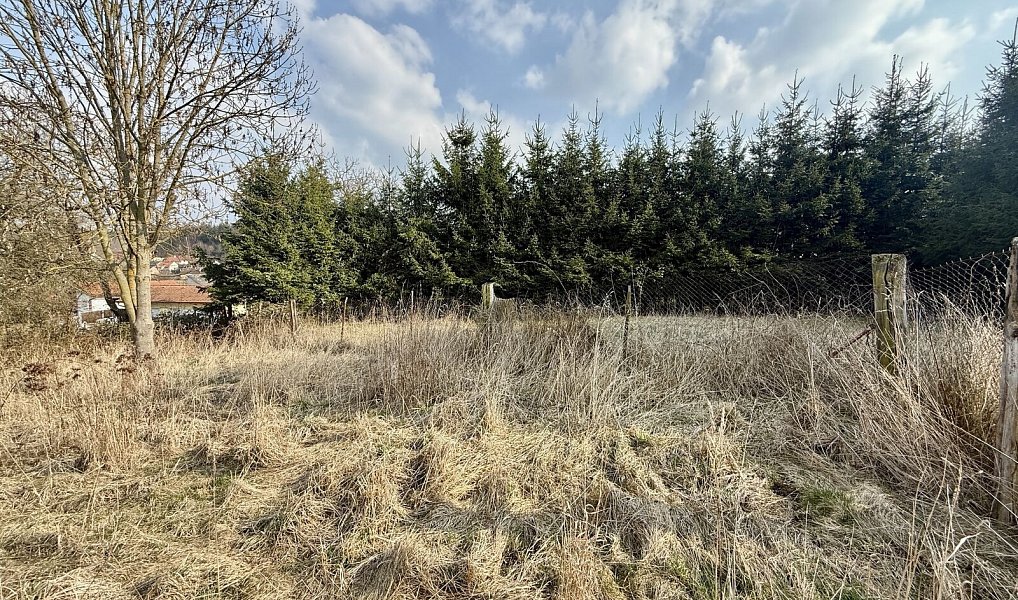 Prodej stavebního pozemku 880 m², Chudenice – náhled fotky 11
