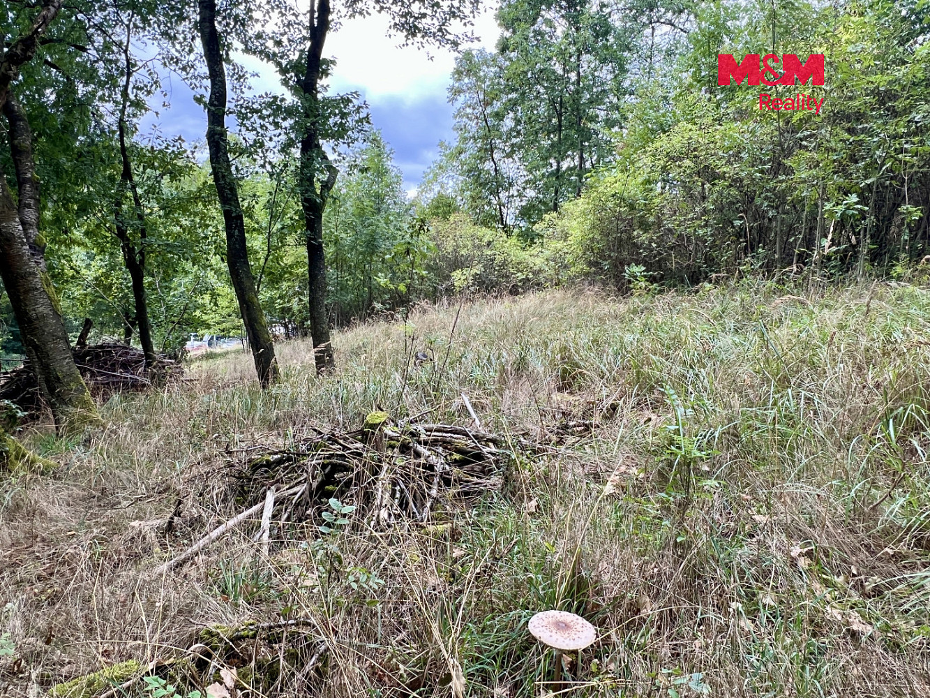 Fotka 10 z 16