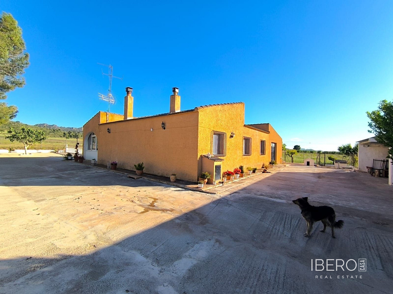 Prodej domu 220 m² s pozemkem 24 150 m² - Vista 6