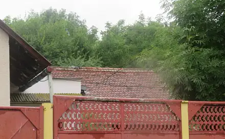 Dražba zahrady 601 m², Schořov