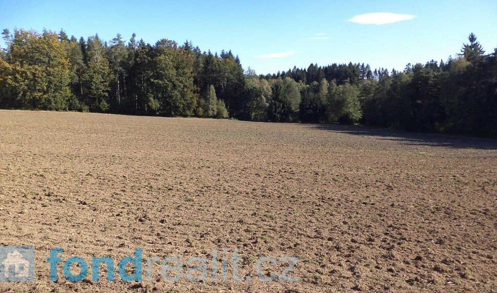 Prodej pozemku 4 992 m², Studená – náhled fotky 10