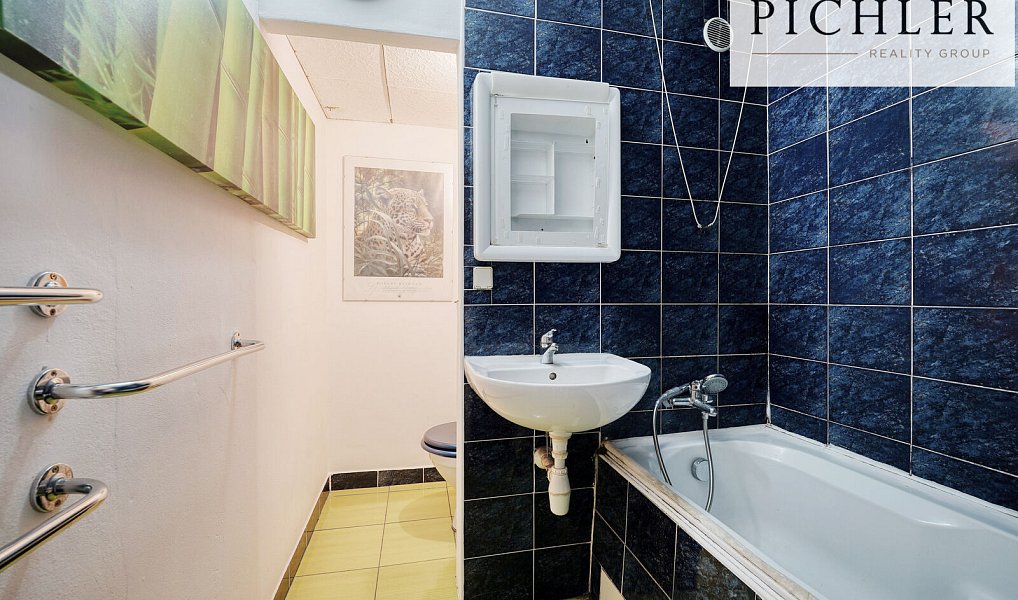 Pronájem bytu 1+kk 31 m², Plzeň – náhled fotky 7