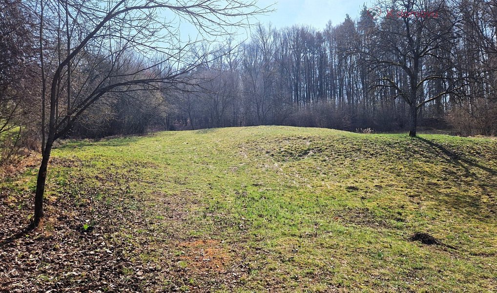 Prodej stavebního pozemku 2 619 m², Záhorovice – náhled fotky 12