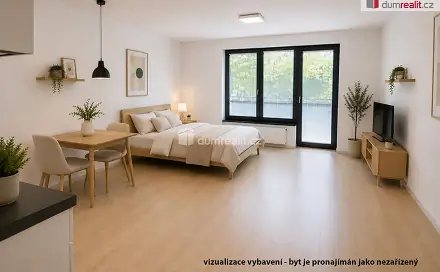 Pronájem bytu 1+kk 40 m², V mezihoří, Praha 8 - Libeň