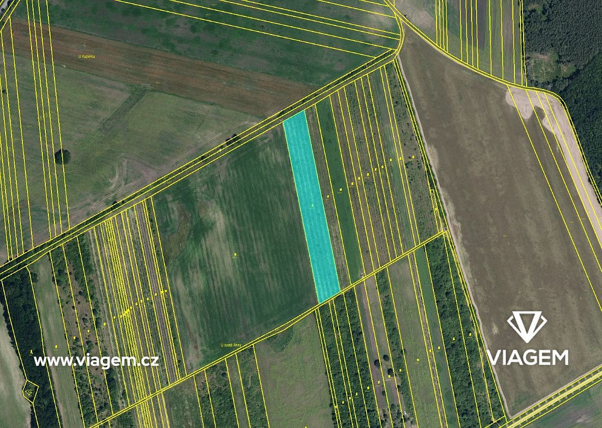Prodej pole 1 901 m² – fotografie 2