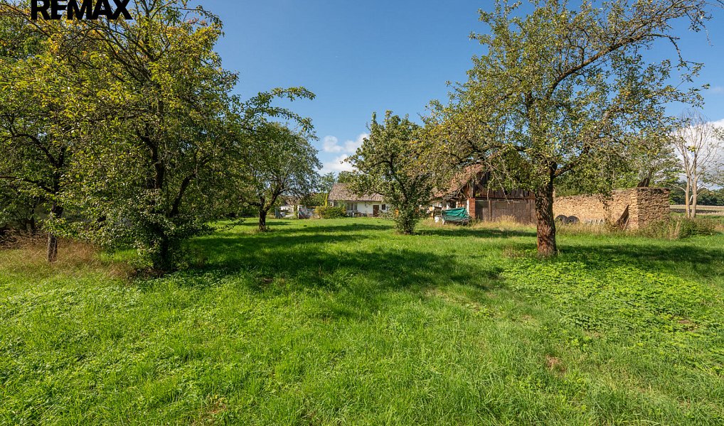 Prodej domu 222 m² s pozemkem 2 923 m², Mladá Vožice – náhled fotky 23