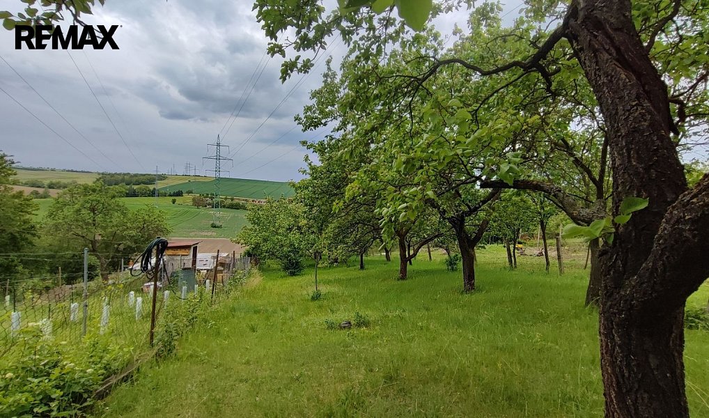 Prodej zahrady 1 279 m², Vážany nad Litavou – náhled fotky 3