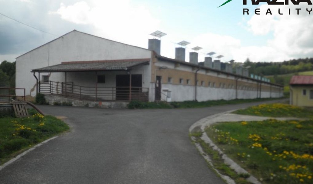 Prodej zemědělského objektu 5 633 m², Přimda – náhled fotky 2