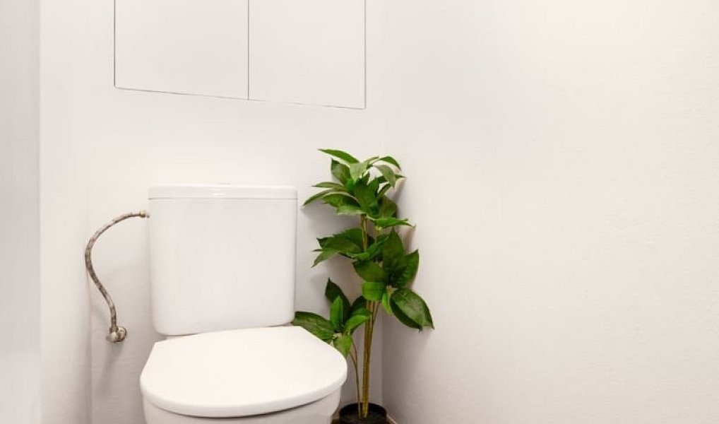 Prodej bytu 3+1 70 m², Olomouc – náhled fotky 12