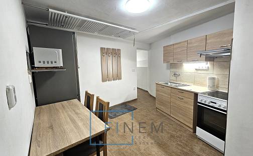 Pronájem bytu 1+1 25 m², Neratovická, Kostelec nad Labem, okres Mělník