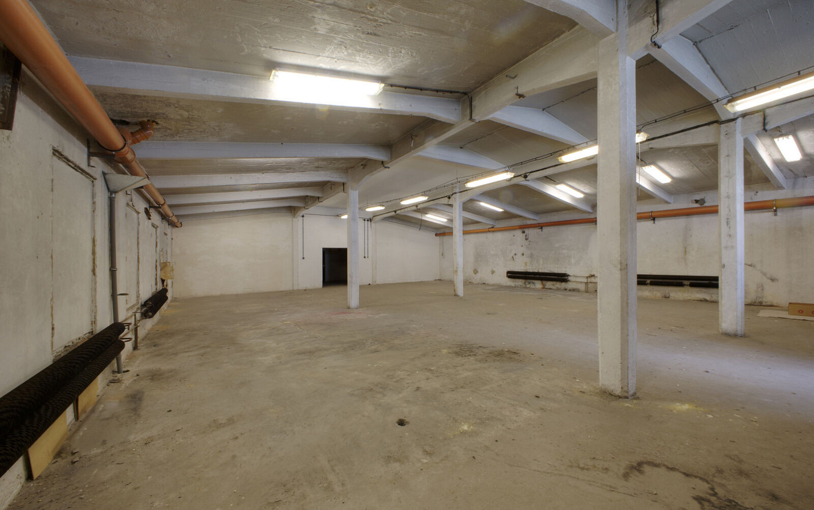 Pronájem skladovacích prostor 237 m² – fotografie 3