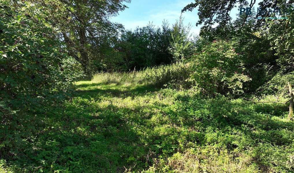 Prodej stavebního pozemku 9 180 m², Ledce – náhled fotky 16