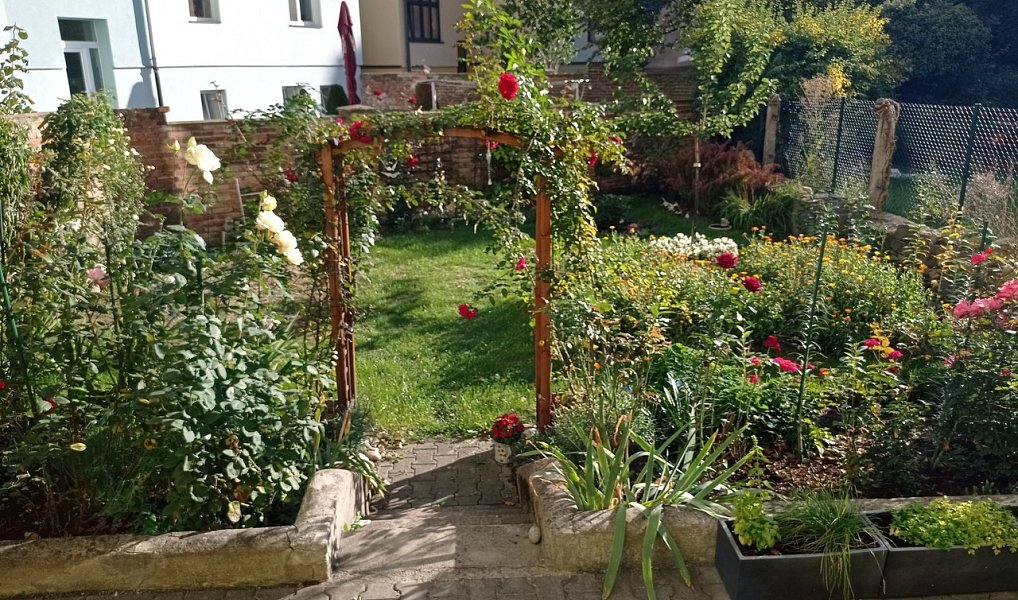 Pronájem bytu 2+kk 58 m², Plzeň – náhled fotky 12
