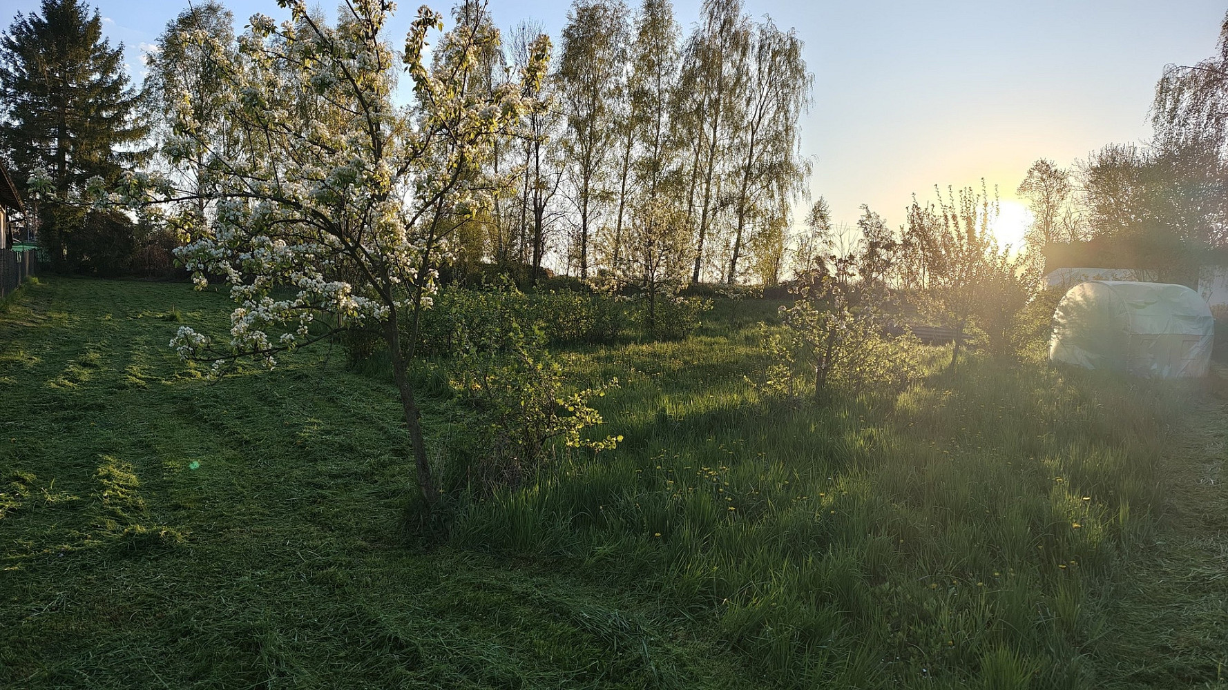 Prodej stavebního pozemku 1 156 m² – fotografie 4