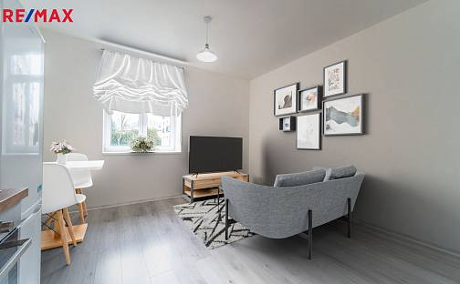 Pronájem bytu 2+kk 39 m², Slepá, Milovice - Mladá, okres Nymburk