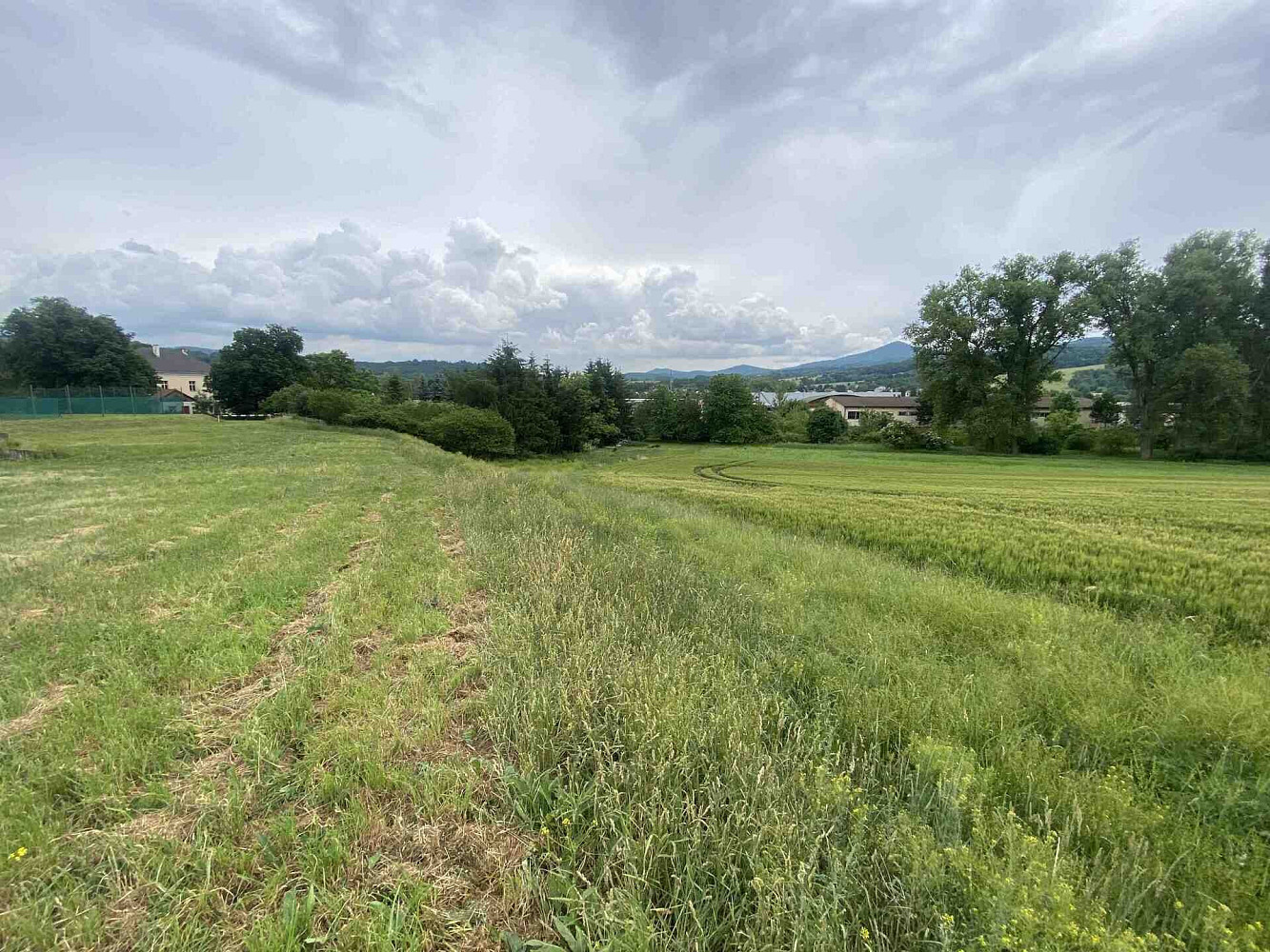 Prodej pozemku 1 561 m² – fotografie 4
